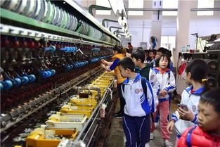 指尖上的艺术 工艺品的魅力与传承